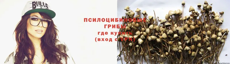 Галлюциногенные грибы Magic Shrooms  shop формула  Малгобек 