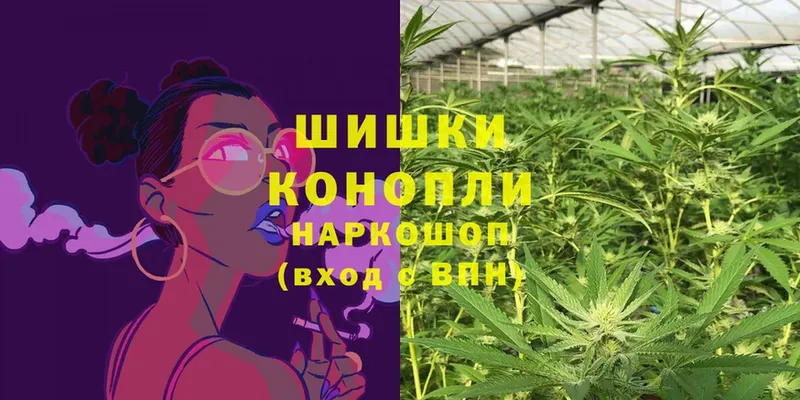 Шишки марихуана Bruce Banner  где купить наркоту  Малгобек 